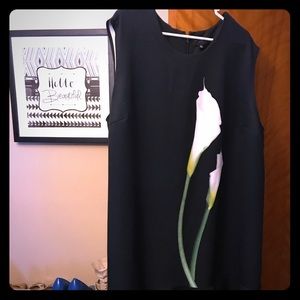 Beautiful Victoria Beckham Sleeveless Dress